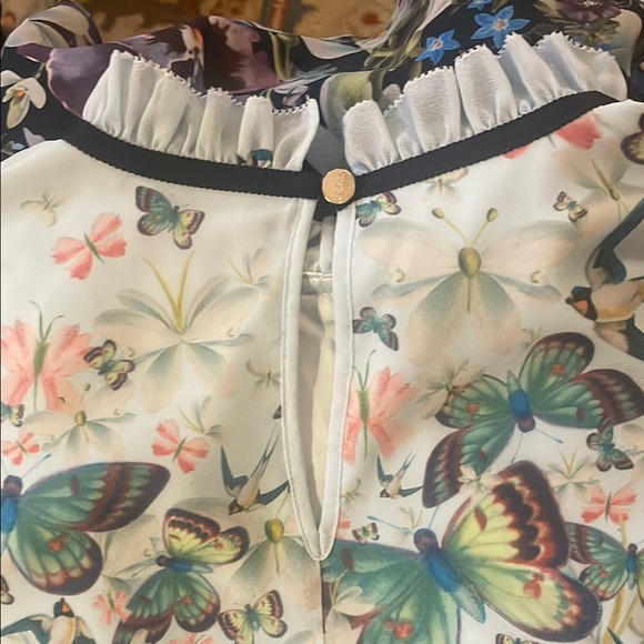 Ted Baker Garden Dress. Size 0 - Picture 5 of 8